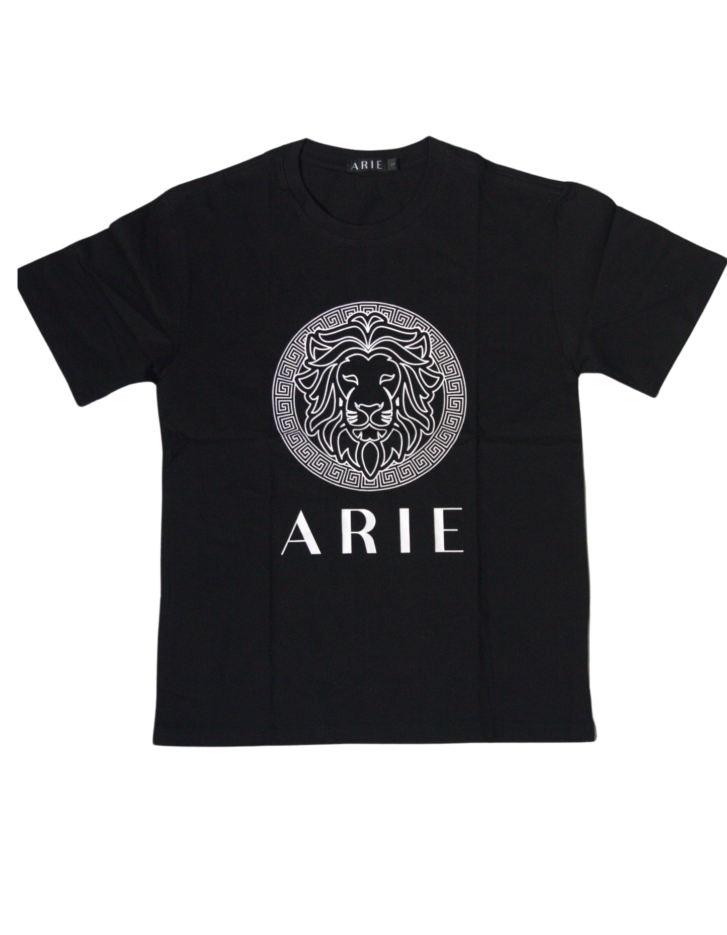 ARIE LION T-SHIRT