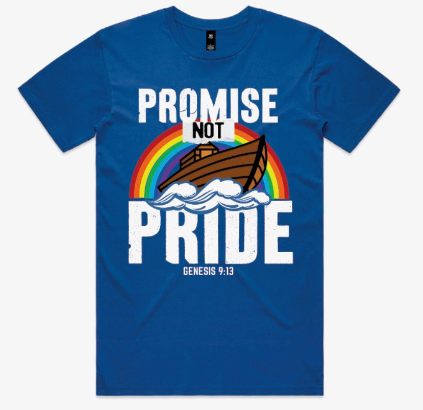 PROMISE NOT PRIDE (T SHIRT)