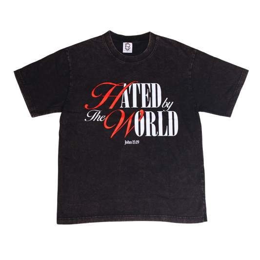 Hated By The World | John 15:19 Vintage Oversized Heavyweight Tee