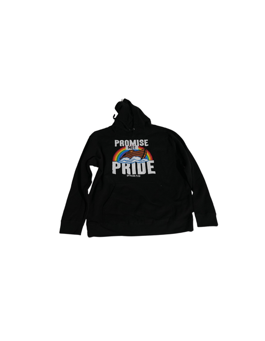 Promise Not Pride Hoodie