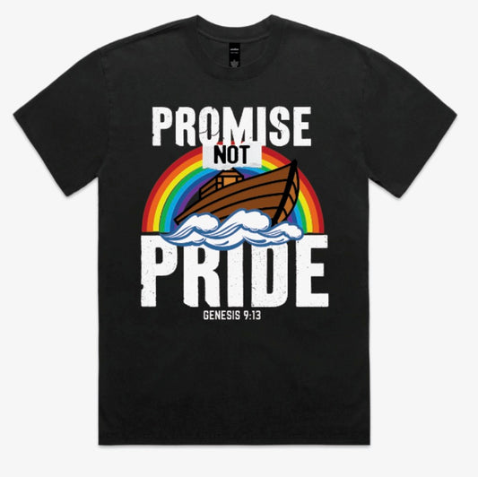 PROMISE NOT PRIDE (T SHIRT)